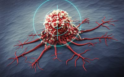 Nanoparticelle antitumorali, partirà da Padova il progetto per svilupparle