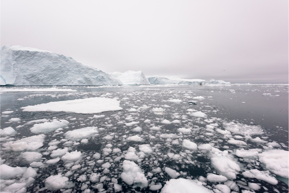 Una speranza per l’Artico? È in virus e batteri