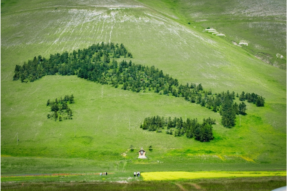 Mezzo milione di ettari in più: i boschi italiani crescono (e la CO2 diminuisce)